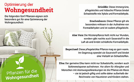 Infografik-Wohngesundheit-Pflanzen